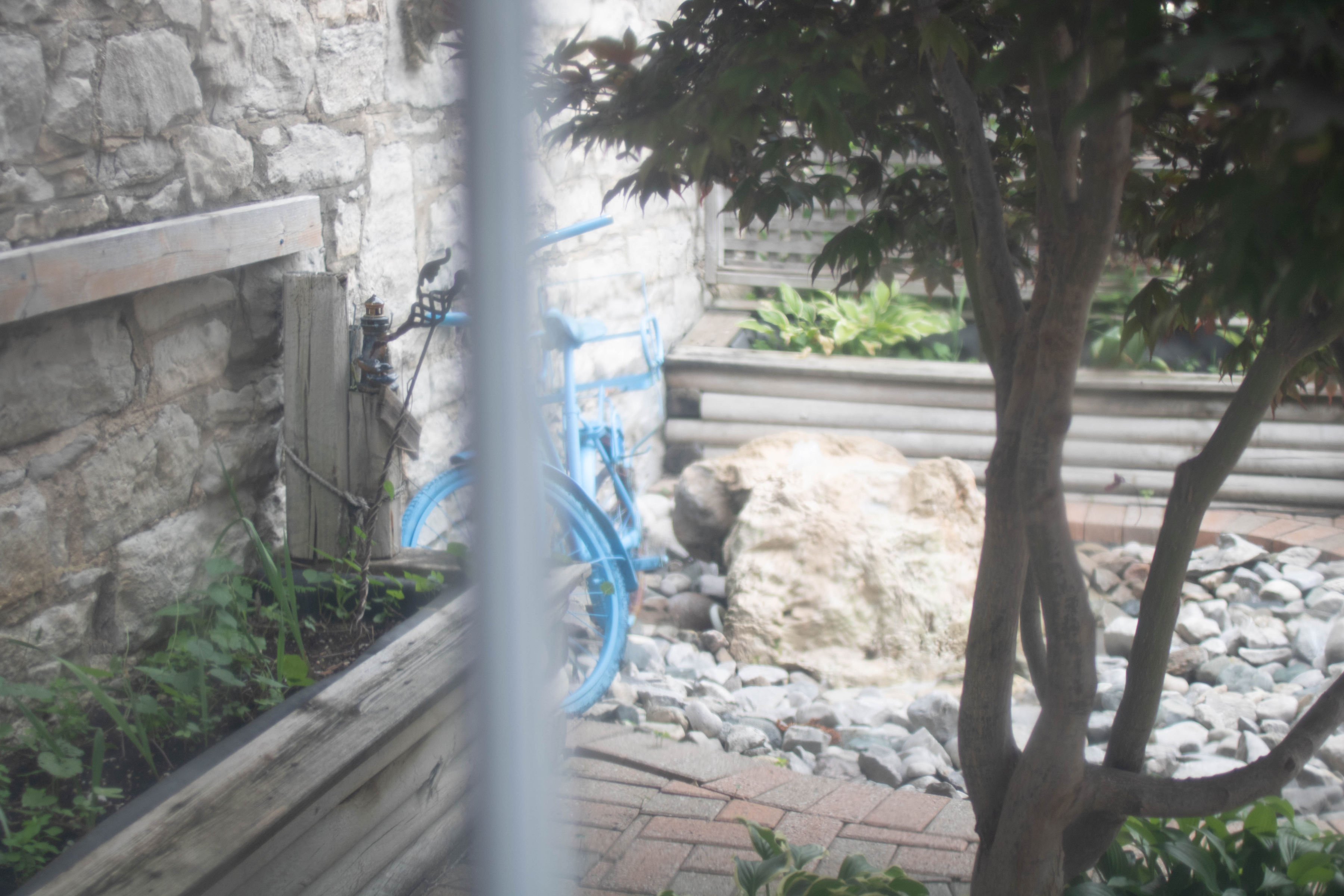Quiet courtyard view from the clinic