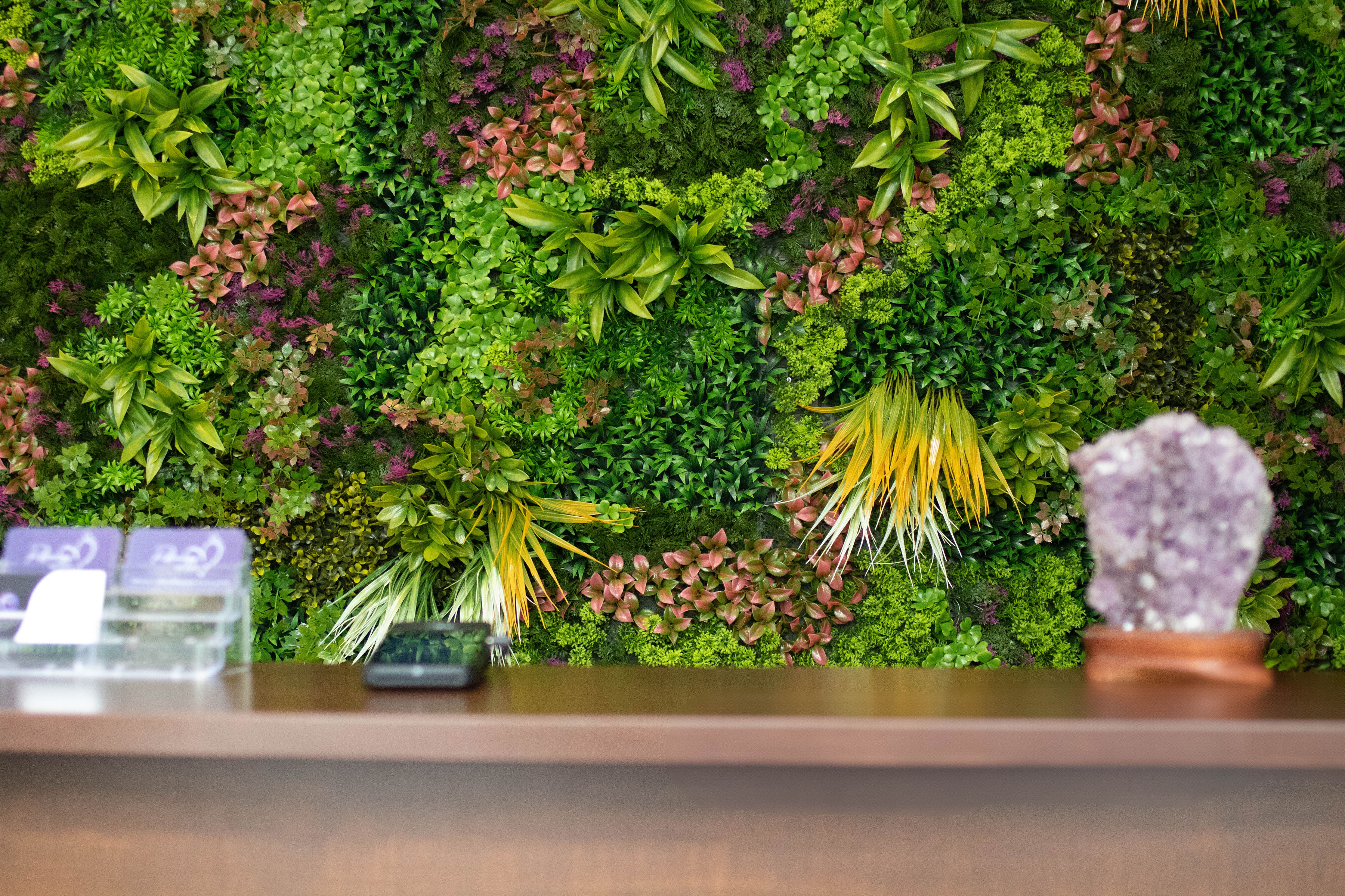Reception desk with plant wall